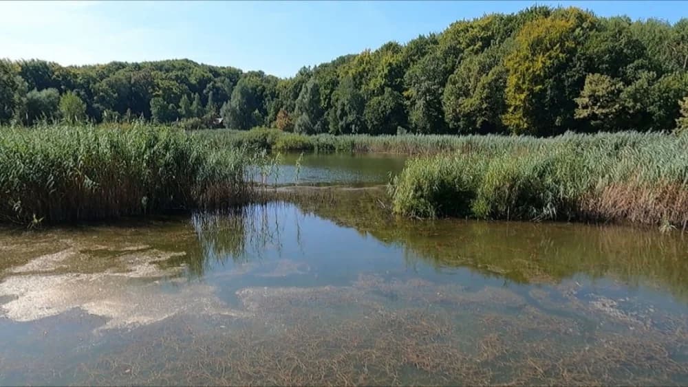 Borba za Sovsko jezero: Ustali protiv apartmanizacije omiljenog Modrog oka Slavonije