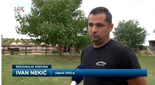 Uzgoj magaraca u Slavoniji