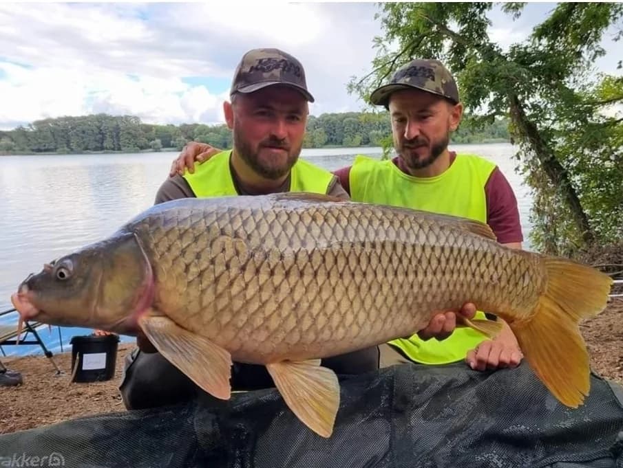 Požežani Dalibor i Hrvoje dio su Hrvatske reprezentacije koja je svjetski prvak u šaranskom ribolovu