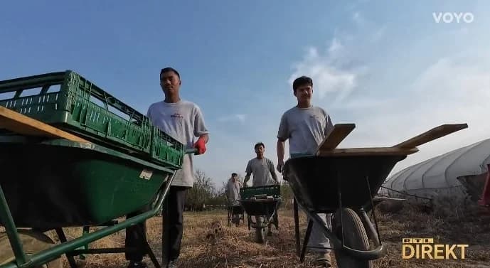 Nepalci u Slavoniji