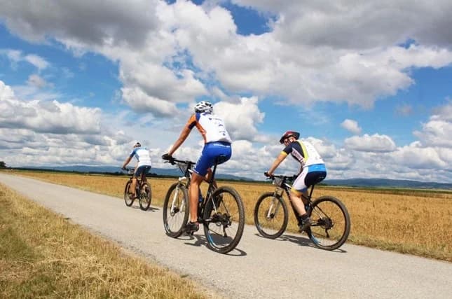 Gran Fondo Zlatni Papuk - treće izdanje utrke za sve ljubitelje bicikliranja u prirodi