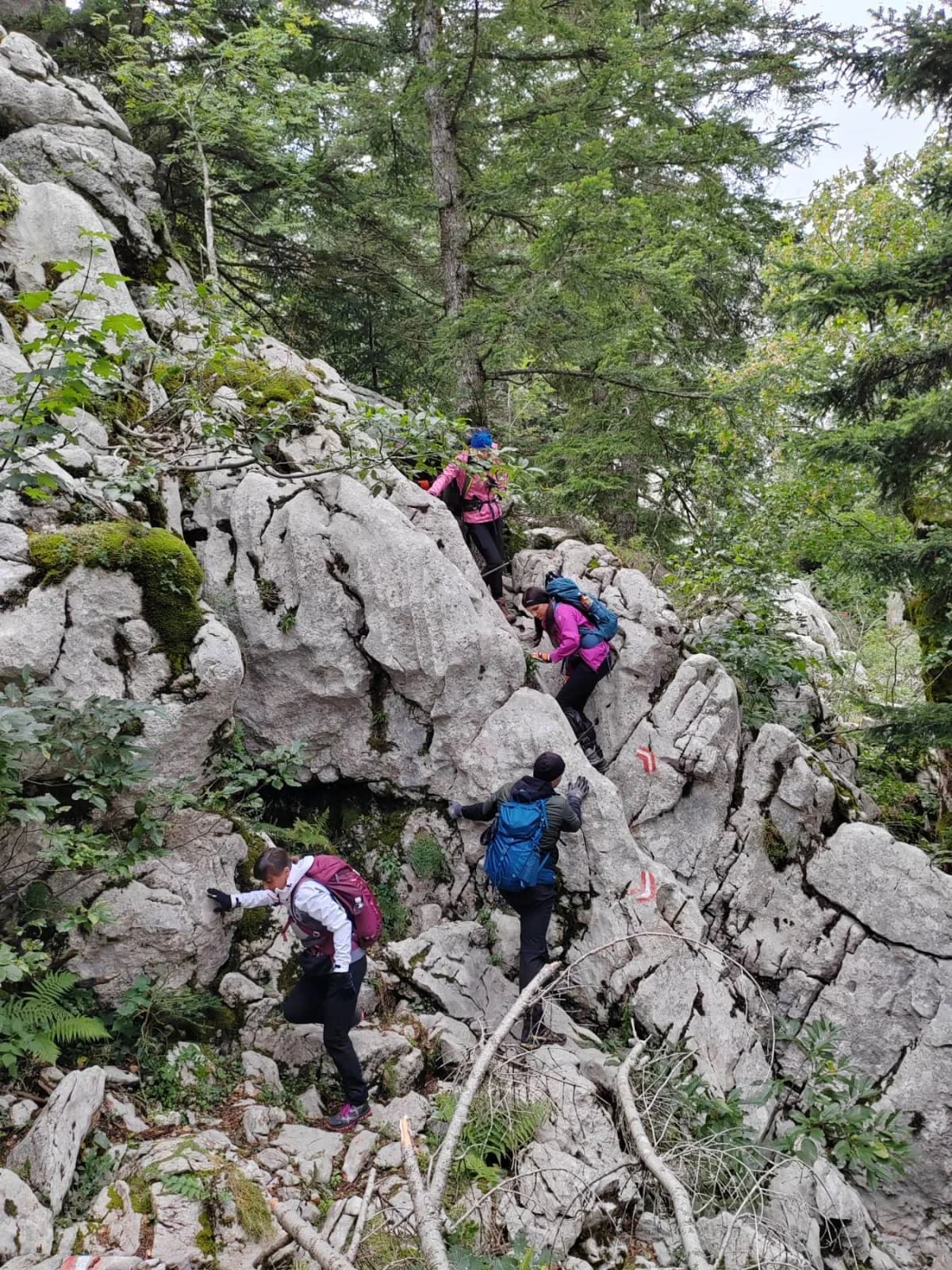 HPD Gojzerica na Južnom Velebitu- Put Malog Princa
