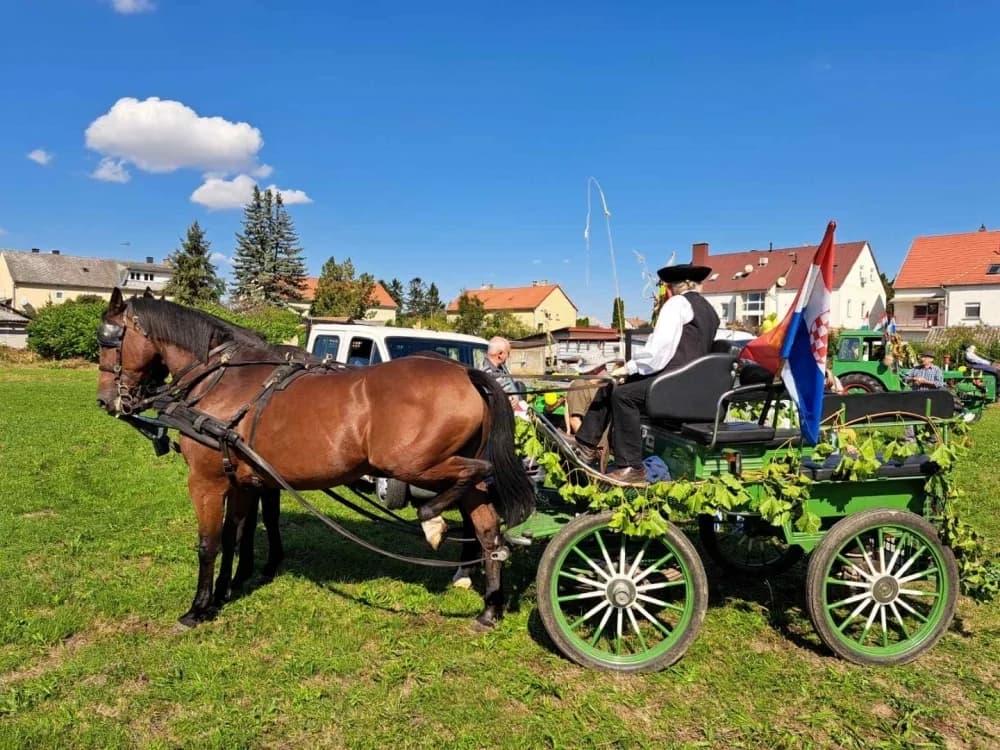 Članovi Društva Mađara Pakrac na berbenim svečnostima u Csepregu
