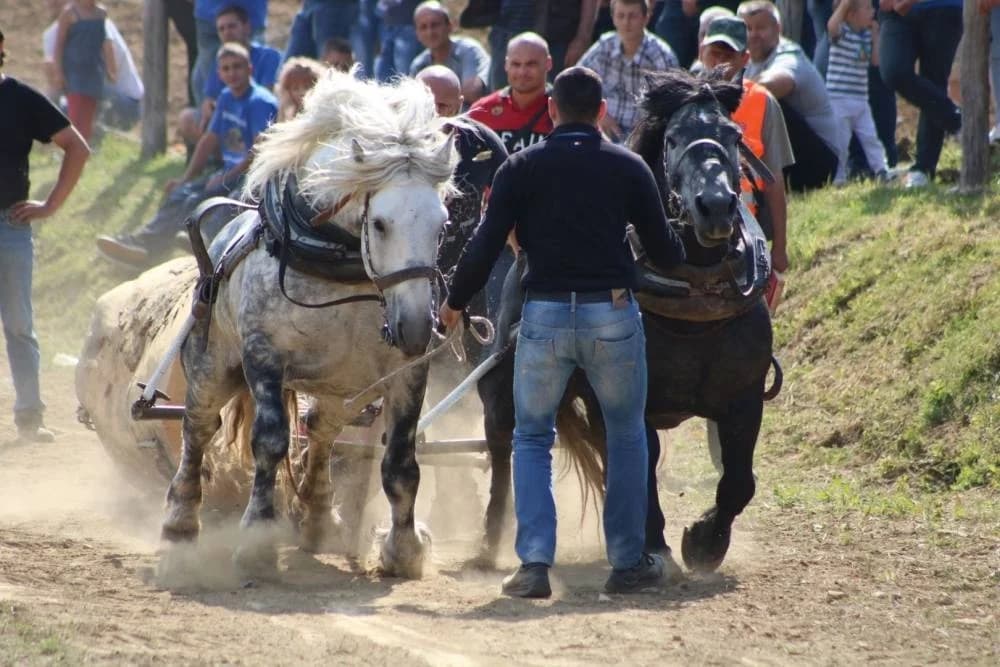 Štraparijada 