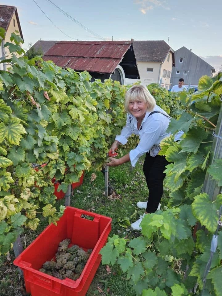 U Kutjevu obilježen zavšetak berbe grožđa