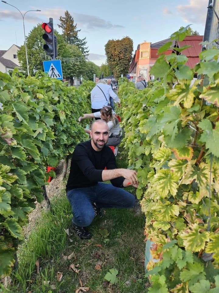 U Kutjevu obilježen zavšetak berbe grožđa
