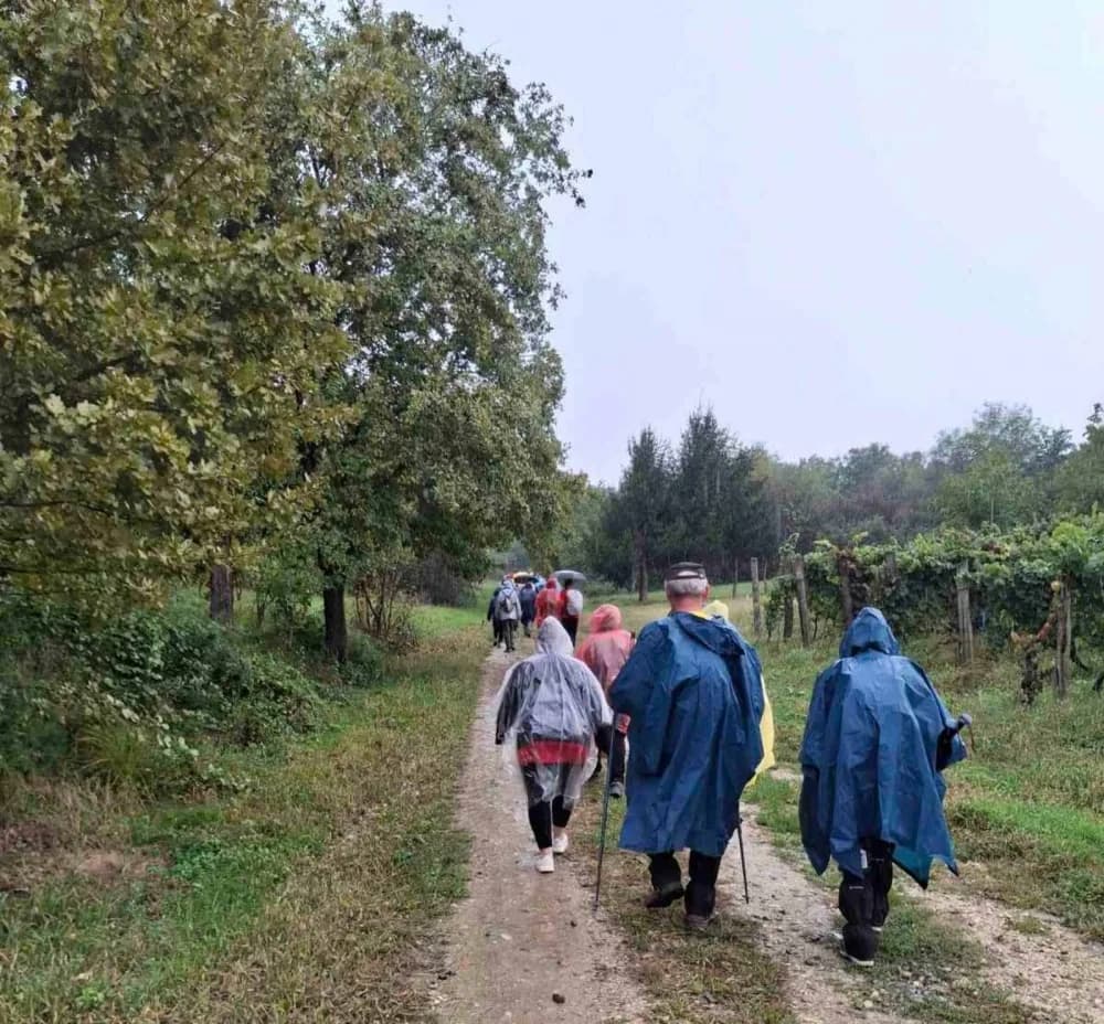 HPD SOKOLOVAC: Pohod na 33. planinarsku manifestaciju ’Kroz vinograde i šume’