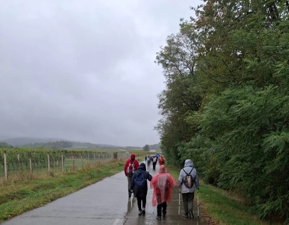 HPD SOKOLOVAC: Pohod na 33. planinarsku manifestaciju ’Kroz vinograde i šume’