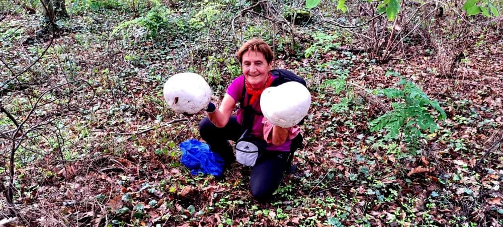 FOTO: 4. Memorijalni pohod: Od Premužića do Štampara
