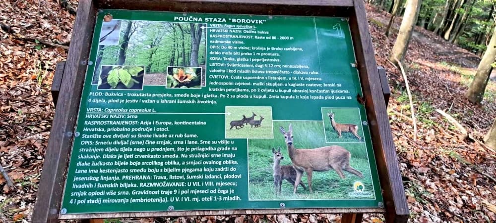 FOTO: Planinari HPD Gojzerice na jezeru Borovik