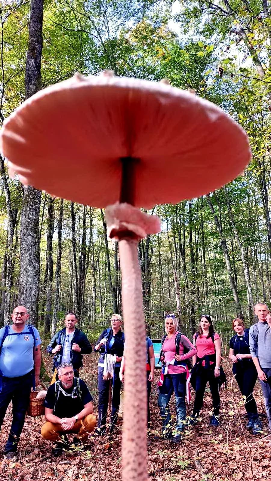 FOTO: Planinari HPD Gojzerice na jezeru Borovik