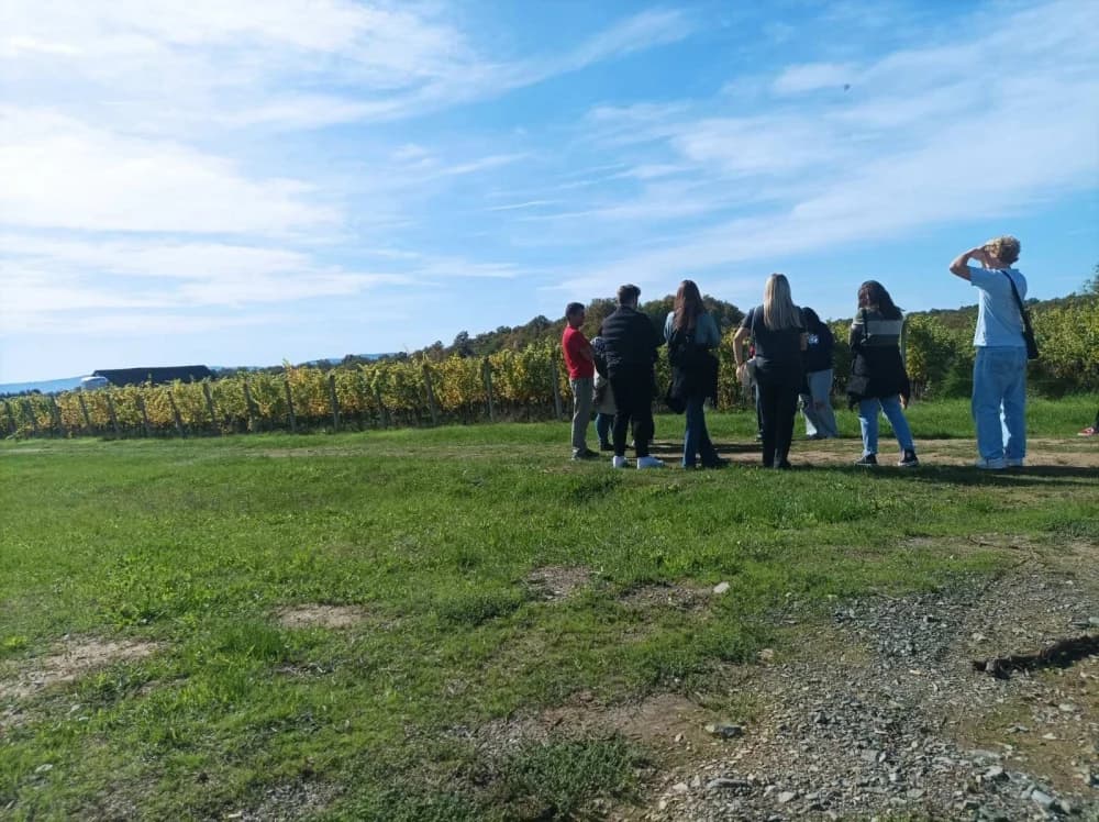 Ekonomska škola Požega ugostila partnere iz Njemačke u okviru Erasmus+ projekta Wine – a cultural heritage in Europe