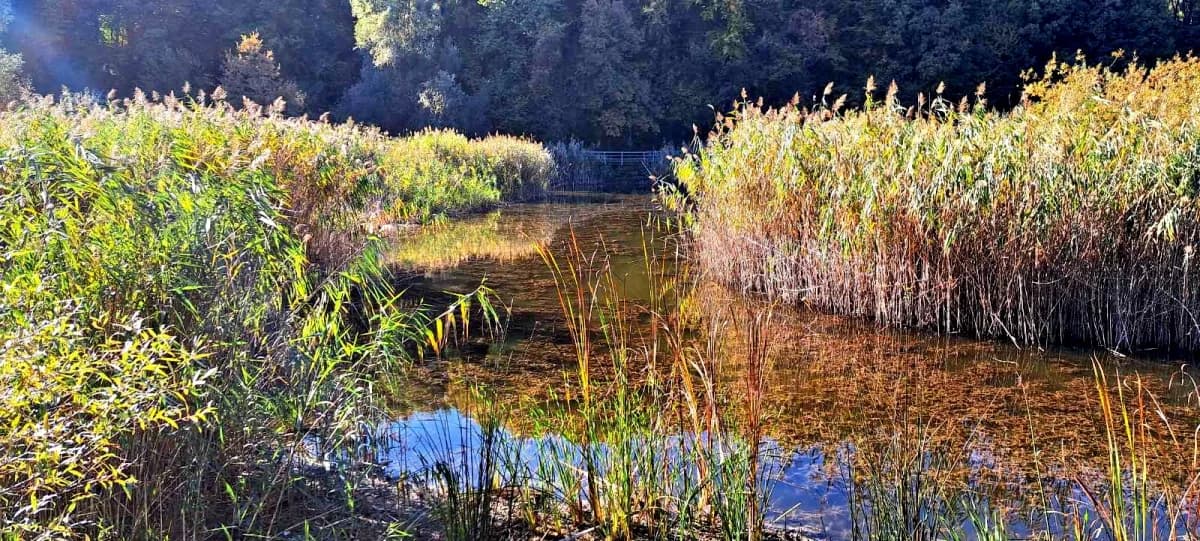 HPD Gojzerica: Planinarski izlet na čardak i Sovsko jezero