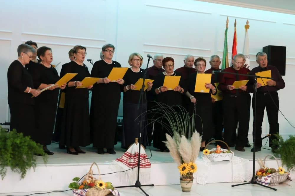 FOTO: 22. Tradicionalni pjevački susreti glazbenih skupina i umirovljenika Požeško-slavonske županije