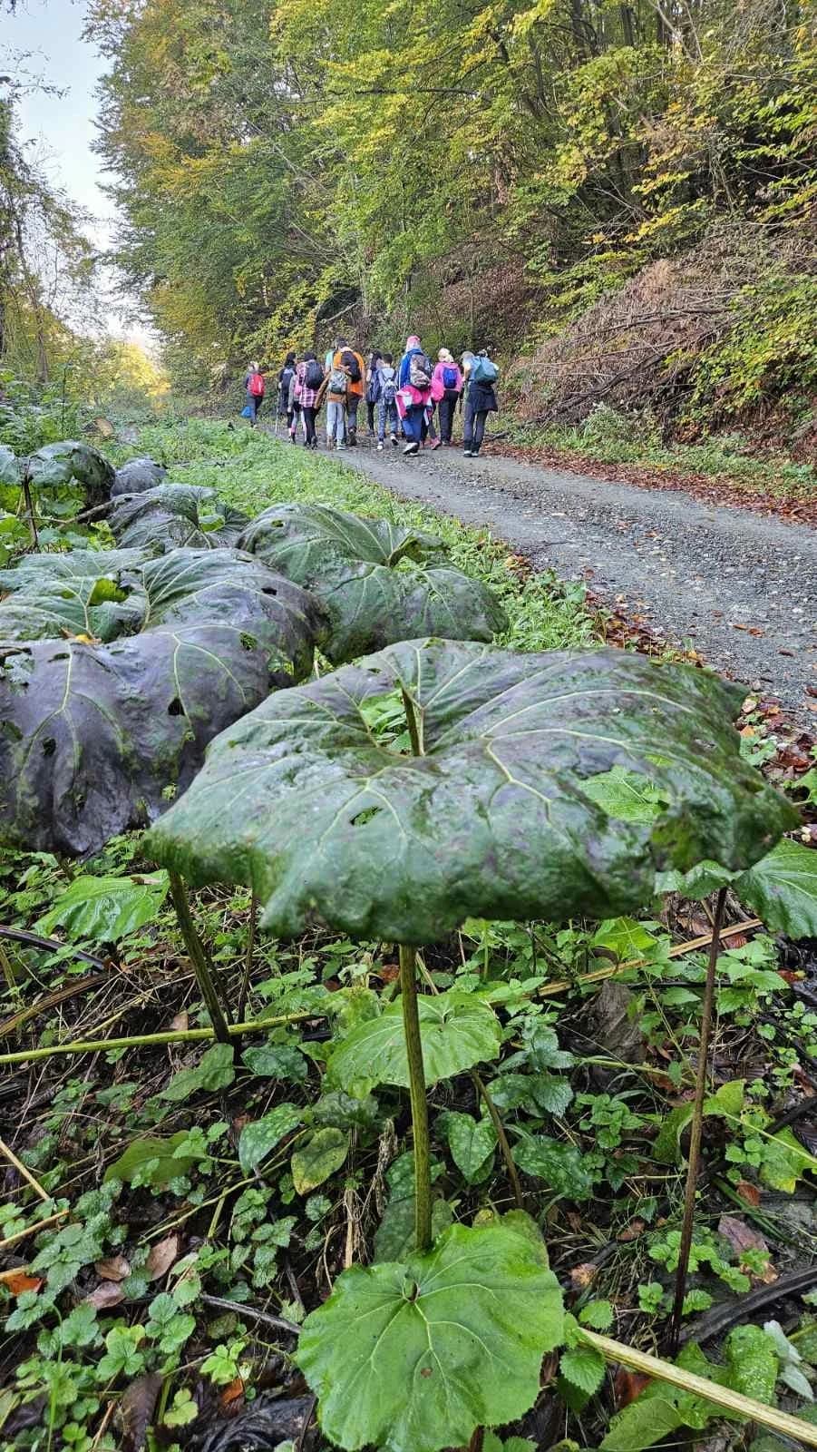 FOTO: Planinarski izlet do kule Gračanica