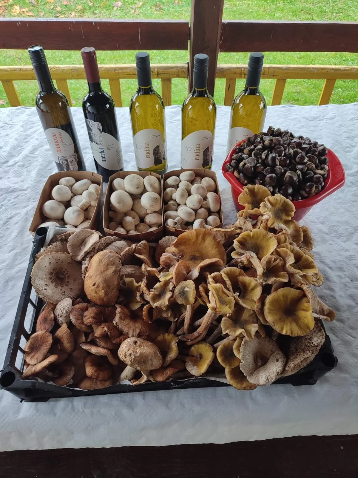Gljivarijada i kestenijada u Zakorenju okupile ljubitelje prirode