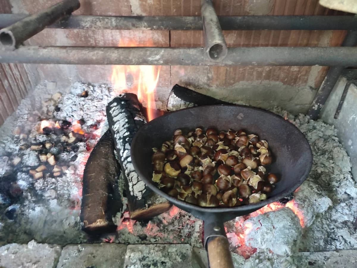 Gljivarijada i kestenijada u Zakorenju okupile ljubitelje prirode