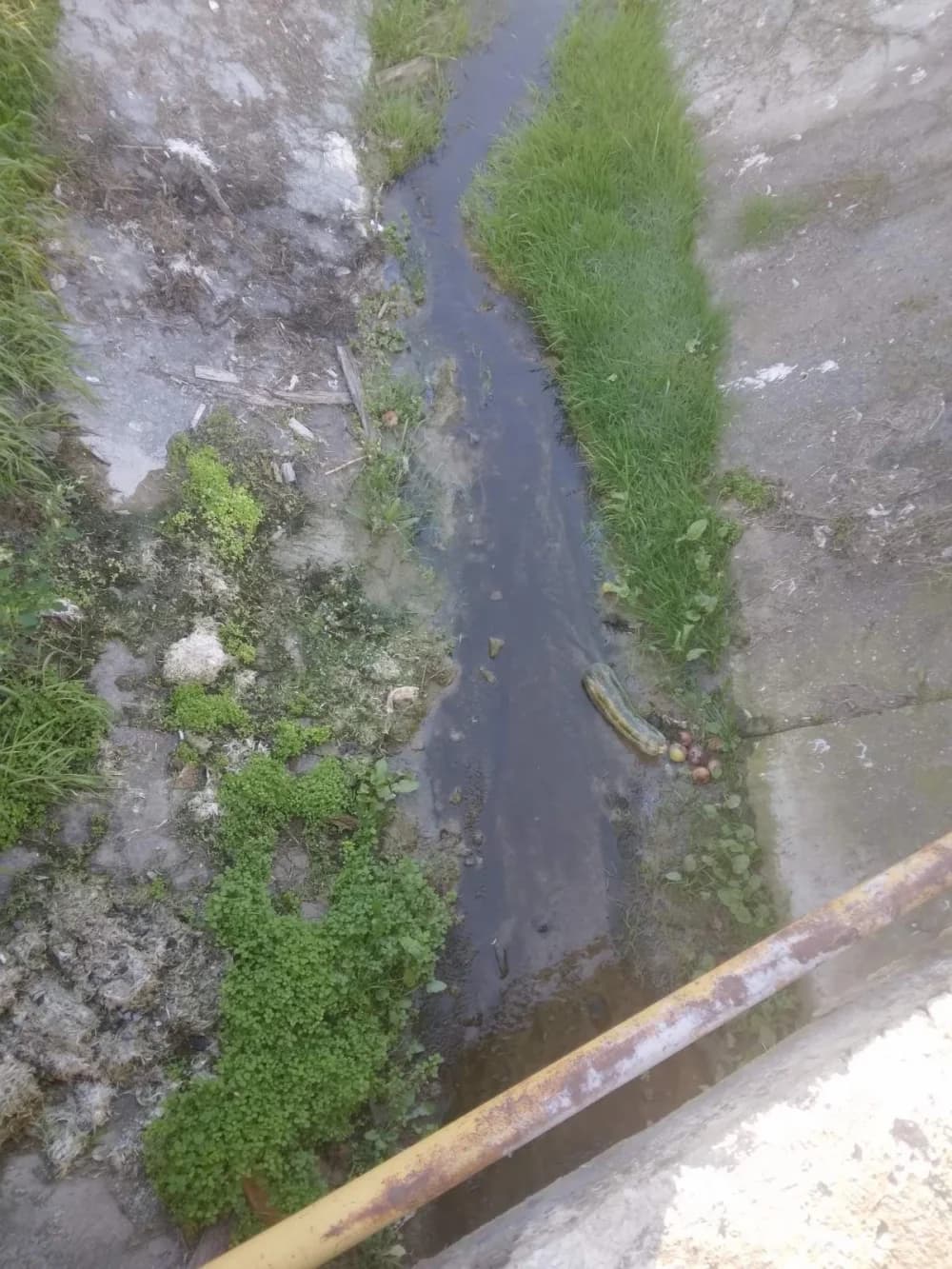 Zabrinuti građani o stanju potoka u Vranduku: ’Zarastao i zapušten narušava kvalitetu života svih stanovnika!’