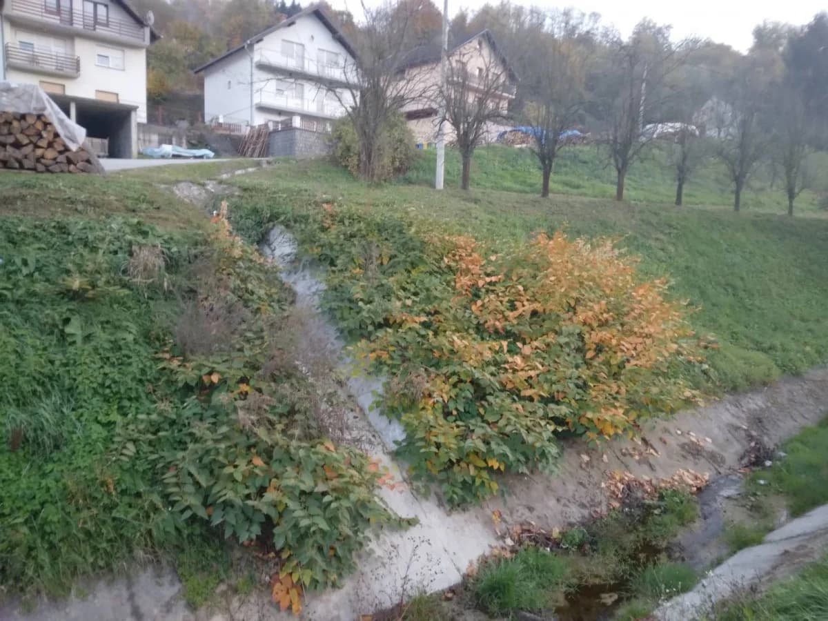 Zabrinuti građani o stanju potoka u Vranduku: ’Zarastao i zapušten narušava kvalitetu života svih stanovnika!’