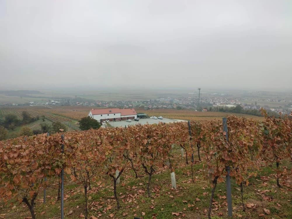 Sokolovci pohodili Kutjevo: Planinari uživali u čarima Martinja
