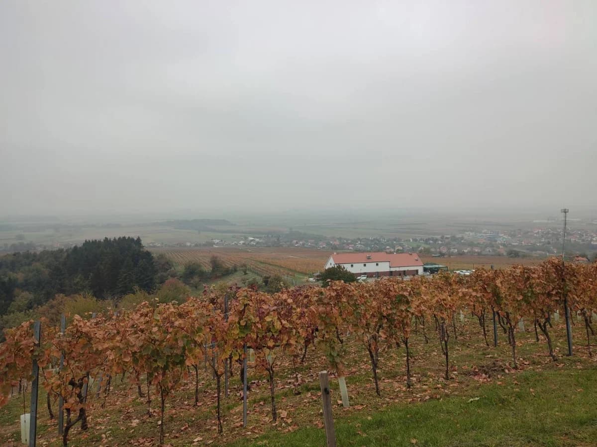 Sokolovci pohodili Kutjevo: Planinari uživali u čarima Martinja