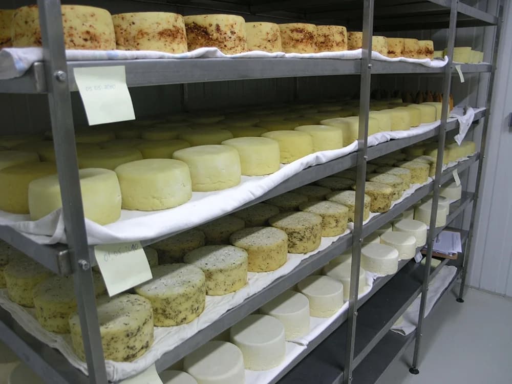 Prezentacija tradicije kroz okuse ovu subotu na Sajmu sira, meda i vrganja
