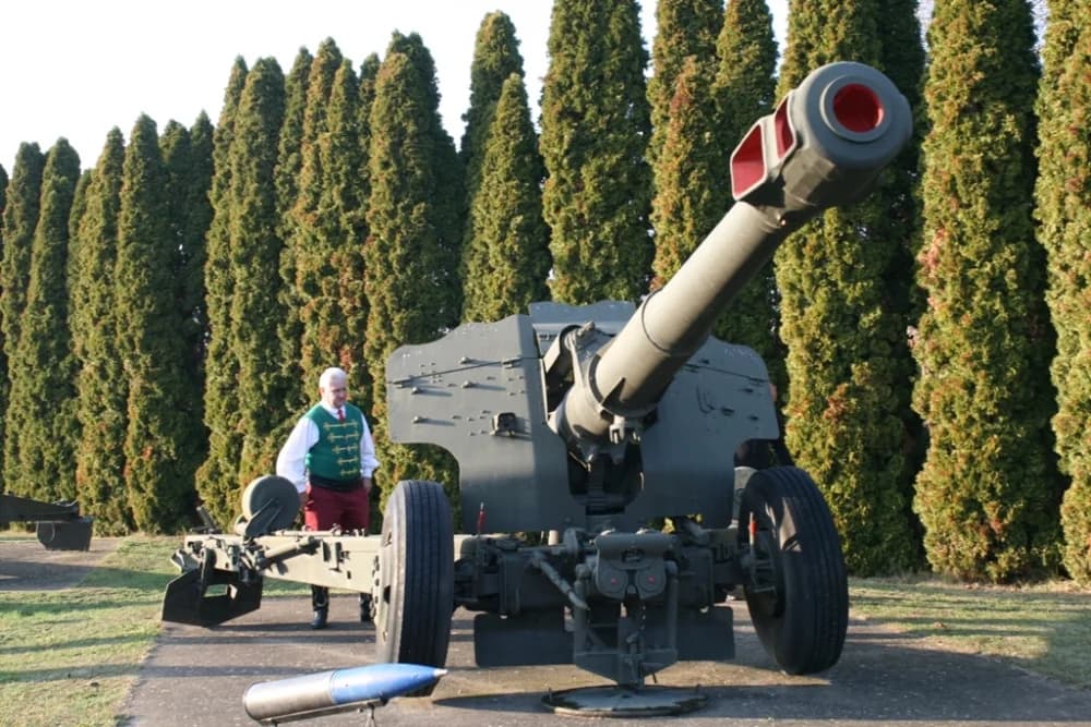FOTO: Trenkovi panduri u Vukovaru