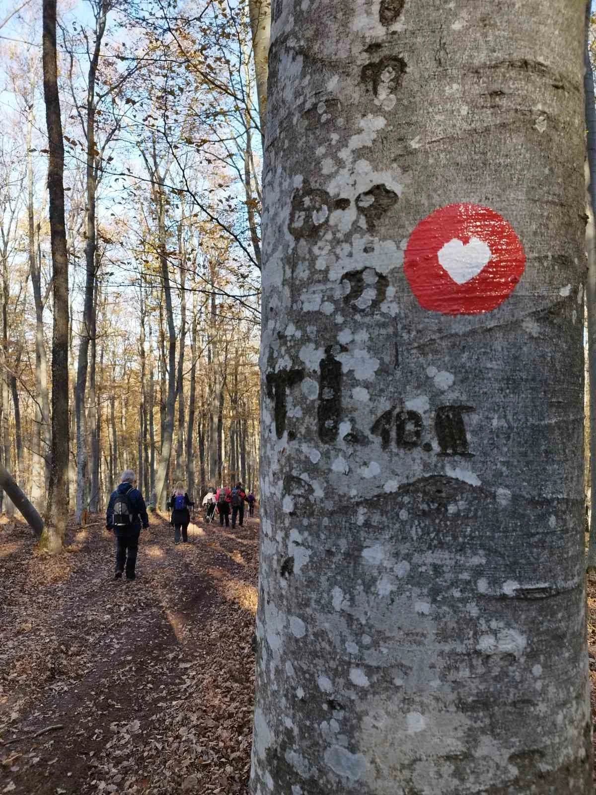 HPD GOJZERICA: Izlet na Lapjak preko Tuberovih stijena