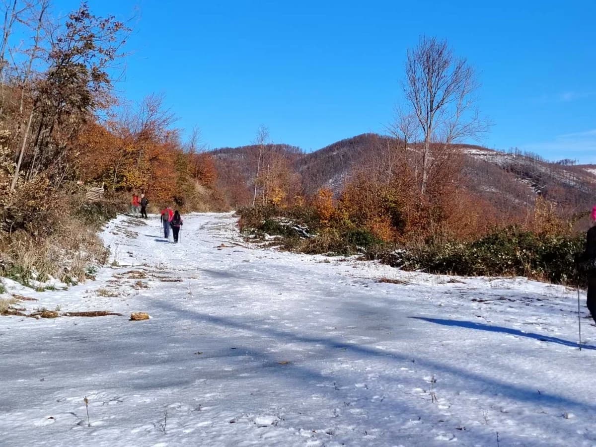 Sokolovci sudjelovali na 13. pohodu na najviši vrh Slavonije