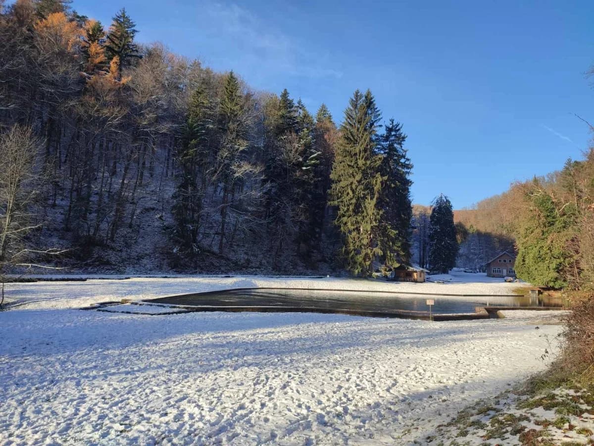 Sokolovci sudjelovali na 13. pohodu na najviši vrh Slavonije