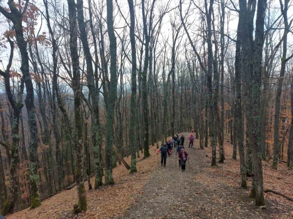 Požeški planinari odali počast poginulim hrvatskim braniteljima- Pohod na Anđinu baraku