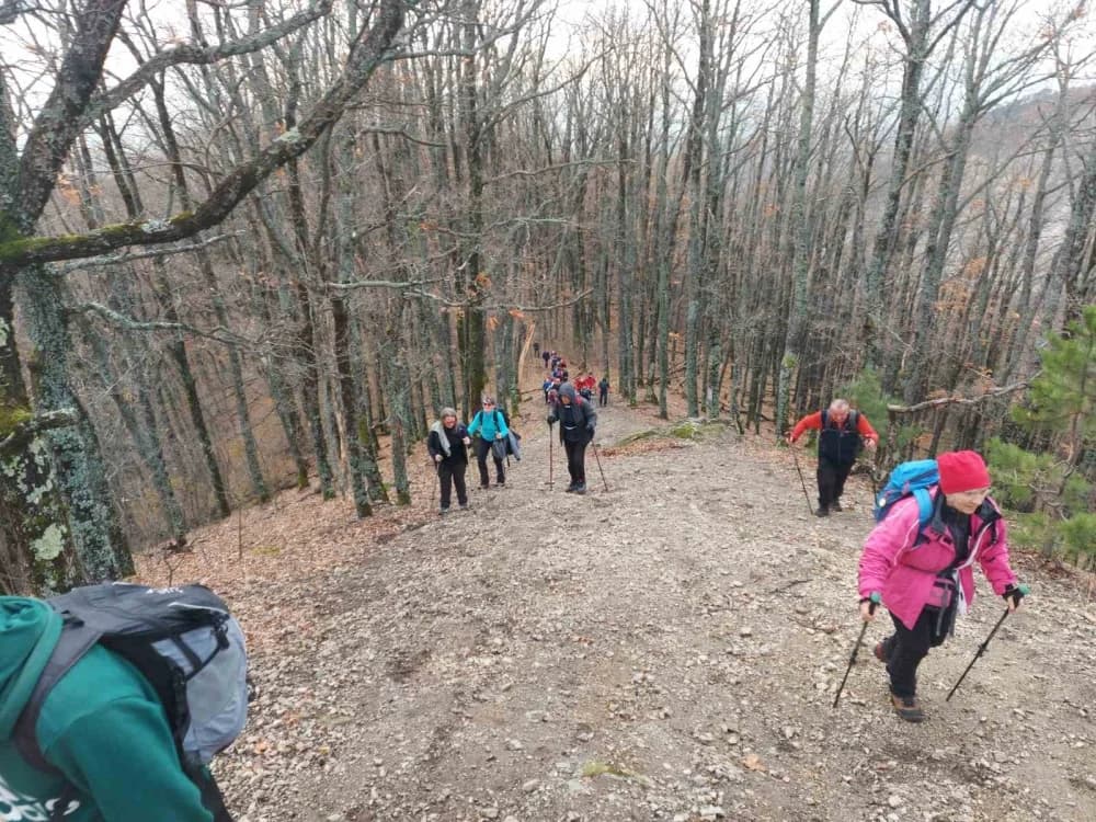 Požeški planinari odali počast poginulim hrvatskim braniteljima- Pohod na Anđinu baraku