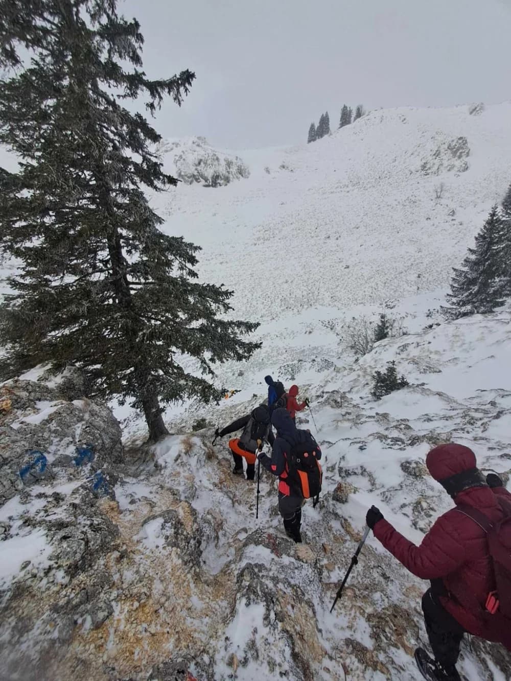 HPD Gojzerica Požega: Zimski uspon na Vlašić