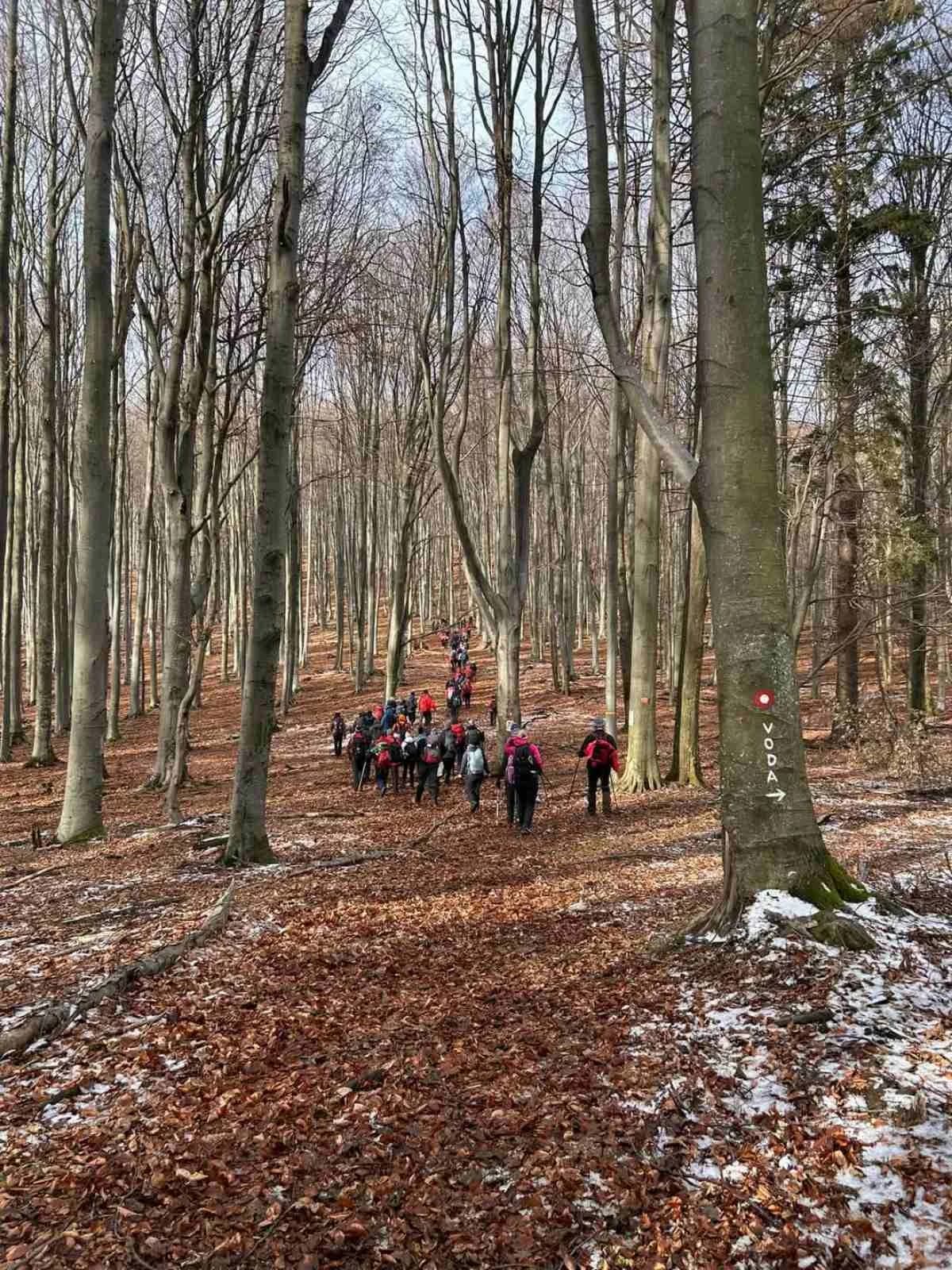19. izlet u nepoznati Papuk: Planinari HPD ’Sokolovac’ Požega osvojili vrhunce