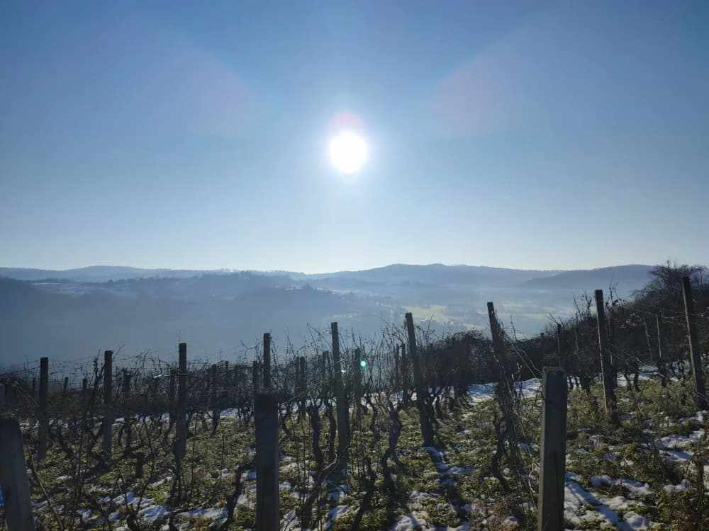 Zimska idila na Požeškoj gori uz HPD „Sokolovac“ Požega
