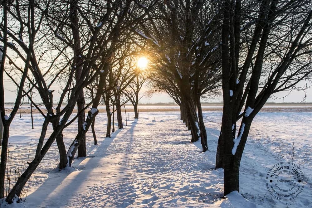 Zimsko sunce
