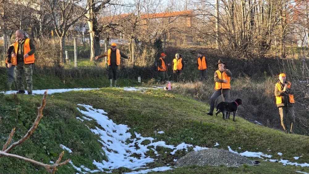 Na području grada Požege provedena akcija potjerivanja divljači