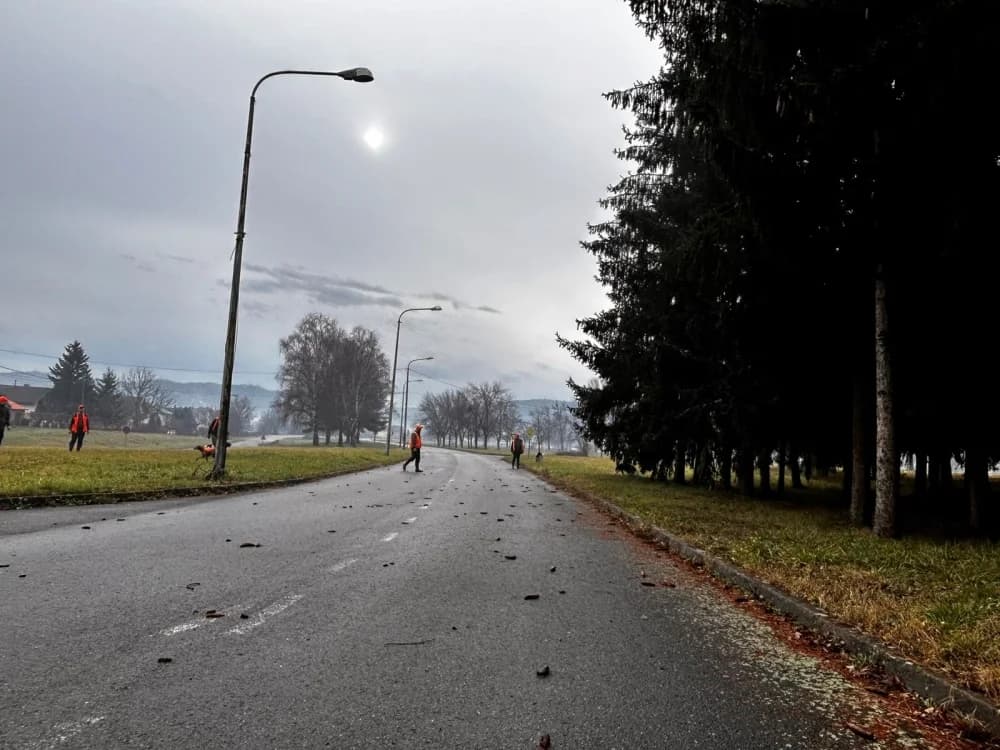 Na području grada Požege provedena akcija potjerivanja divljači