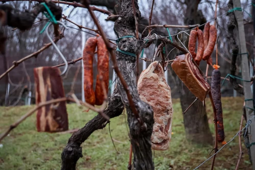 Proslava Vincelova diljem Požeško-slavonske županije