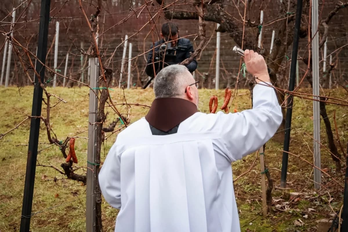 Proslava Vincelova diljem Požeško-slavonske županije