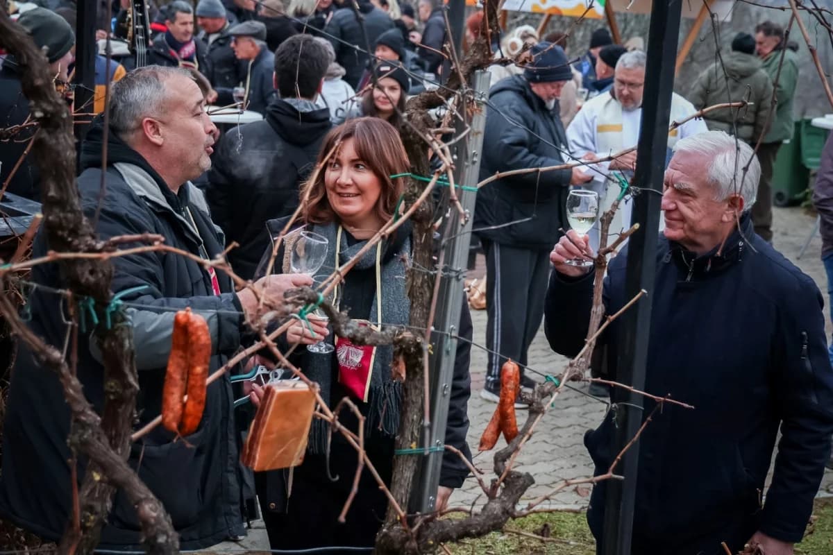 Proslava Vincelova diljem Požeško-slavonske županije