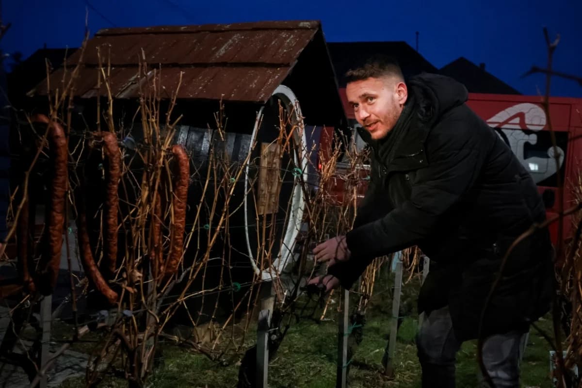 Proslava Vincelova diljem Požeško-slavonske županije