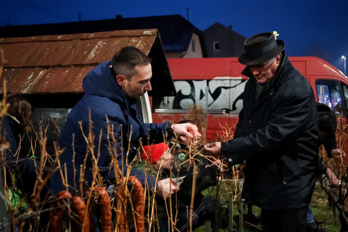 Proslava Vincelova diljem Požeško-slavonske županije