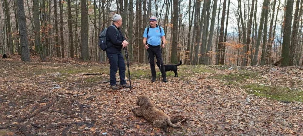 HPD Gojzerica ovog vikenda na Krndiji: Izlet za ’razbiti se’