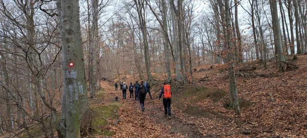 HPD Gojzerica ovog vikenda na Krndiji: Izlet za ’razbiti se’