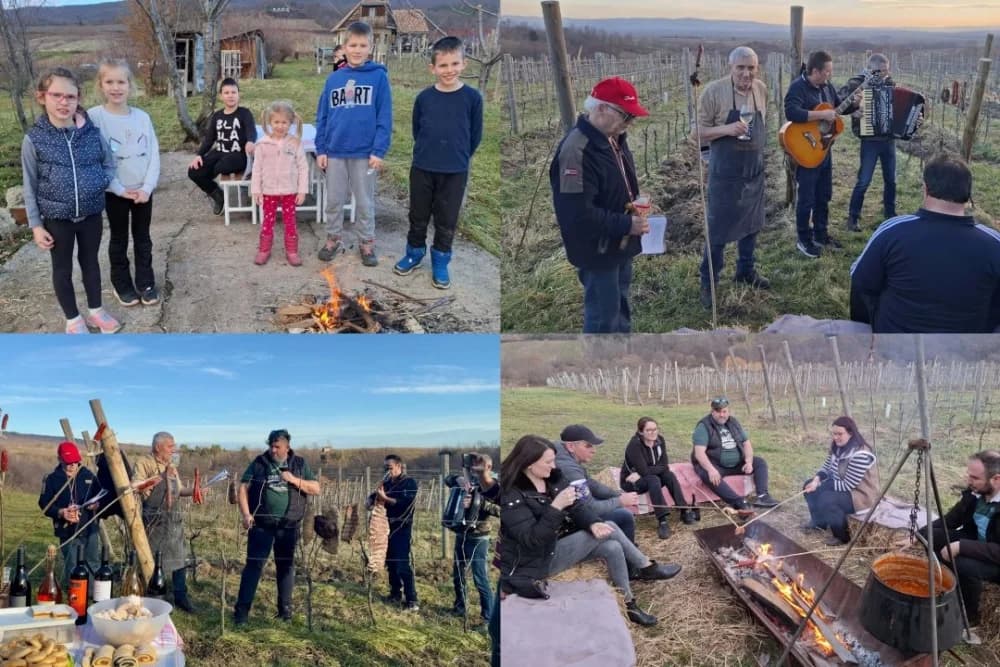 Proslava Vincelova u vinogradu obitelji Sontacchi u Venju i prvi vincilir u kratkim rukavima
