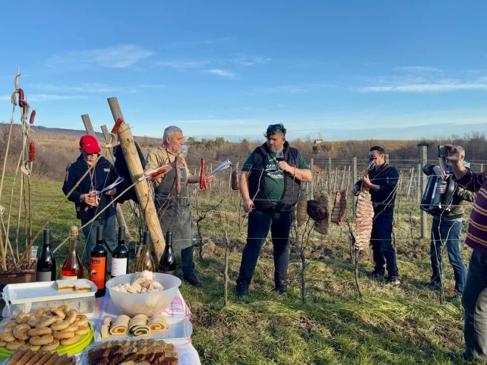 Proslava Vincelova u vinogradu obitelji Sontacchi u Venju i prvi vincilir u kratkim rukavima