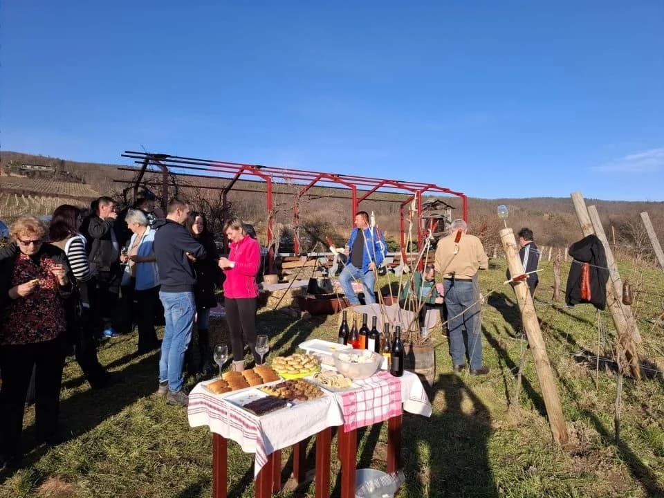 Proslava Vincelova u vinogradu obitelji Sontacchi u Venju i prvi vincilir u kratkim rukavima