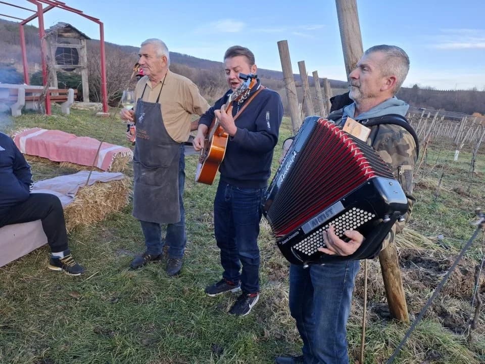 Proslava Vincelova u vinogradu obitelji Sontacchi u Venju i prvi vincilir u kratkim rukavima
