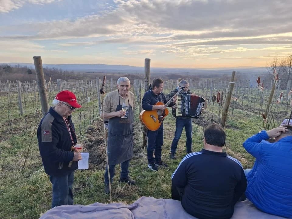 Proslava Vincelova u vinogradu obitelji Sontacchi u Venju i prvi vincilir u kratkim rukavima